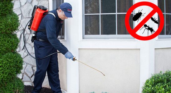 Beykoz Dezenfeksiyon böcek ilaçlama ve haşere kontrolü — ilaclama-tr.com